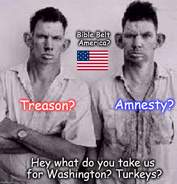 Treason Amnesty Bible Belt inbred turkey