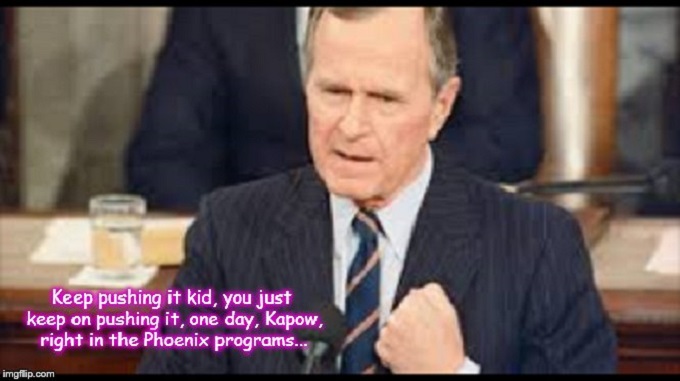 Bush ~ Phoenix Kapow