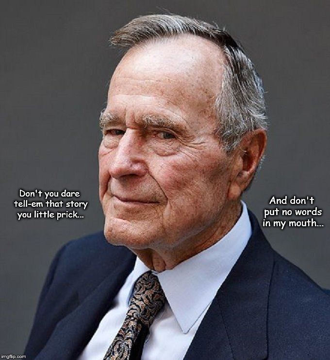 Bush ~ Story