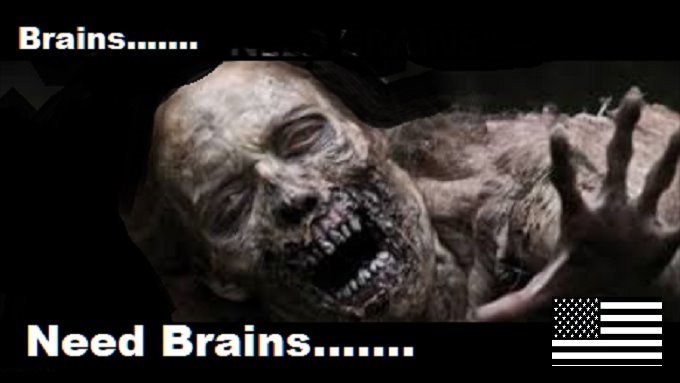 Patriot Zombie brains American flag