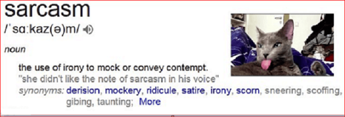 SARCASM CAT RULES 680