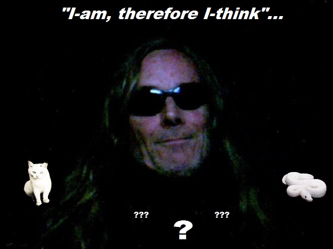 Smiley Snake Cat Question I-am therefore I-think