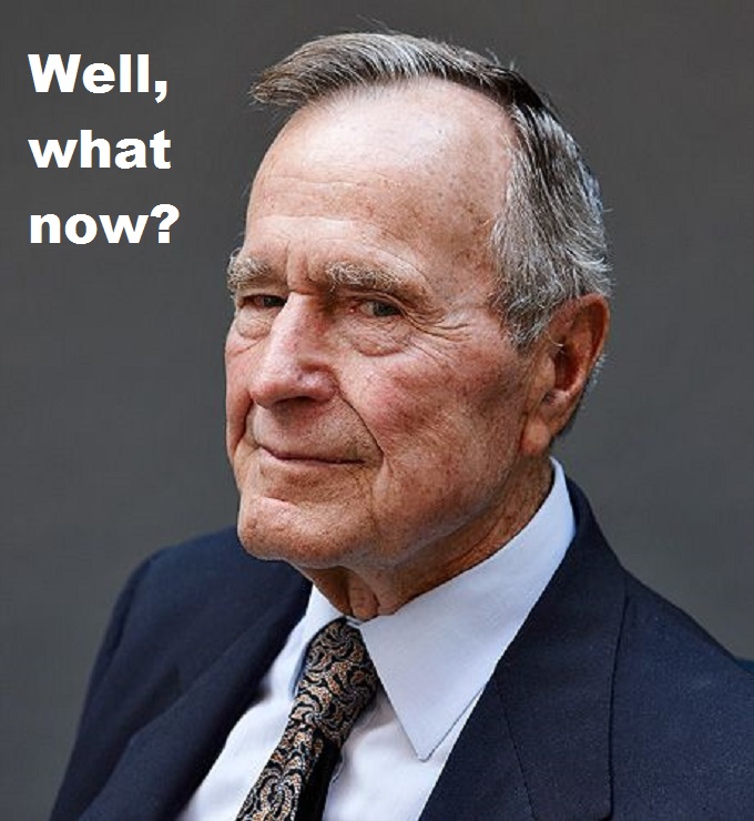 Bush szhot Well what now