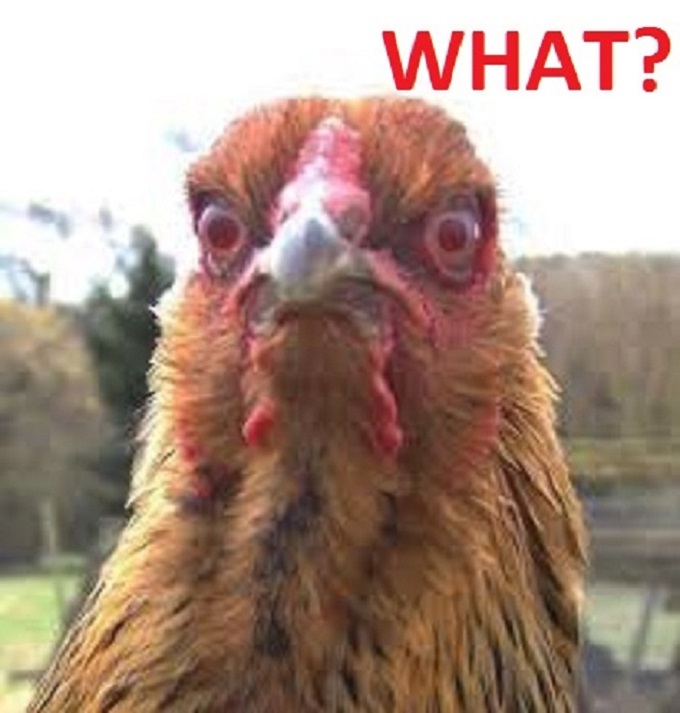 CHICKEN-SOUP ~ WHAT ~