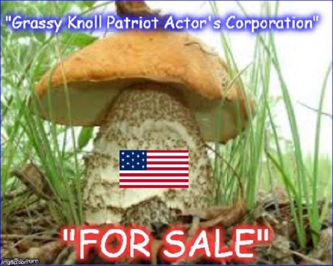 Grassy Knoll Patriot Actor's Corporation Mushroom 680