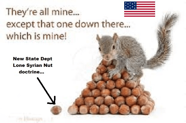 Lone Syrian Nut STATE DEPT