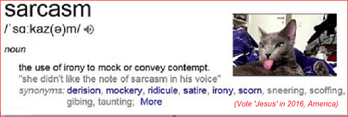 SARCASM CAT RULES VOTE JESUS 5000