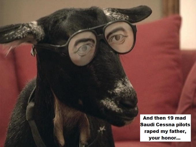 Cool goat 19 mad Saudi Cessna pilots