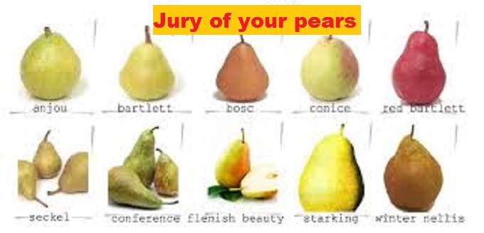Jury of your Pears