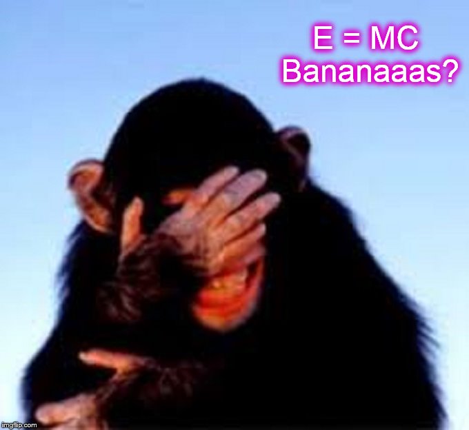 Monkey E = MC Bananas