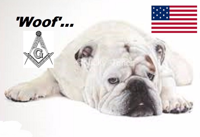 Woof Dog Mason American