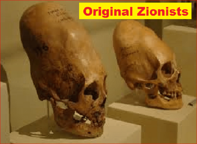 CONEHEAD LARGE Original Zionists LARGE 680