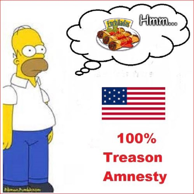 Homer Simpson Treason Amnesty ENCHILLADAS 680