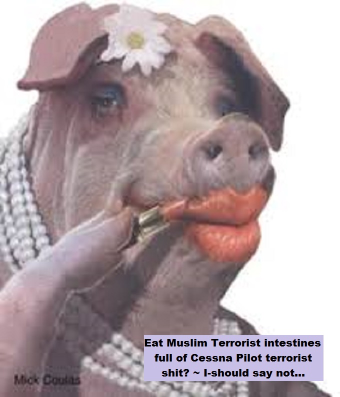 Lady Pig ~ Eat Cessna Pilot shit