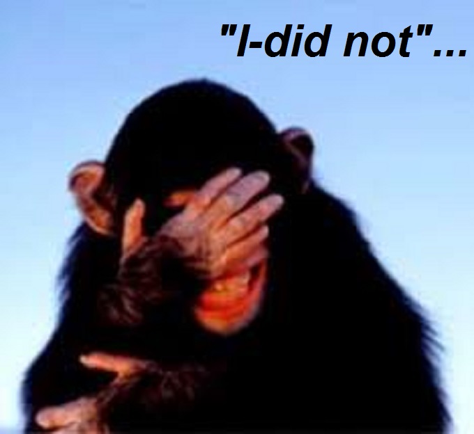 Oh the shame ~ Monkey I-did not