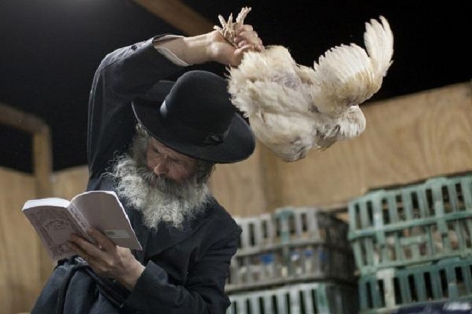 Rabbi blessing chicken