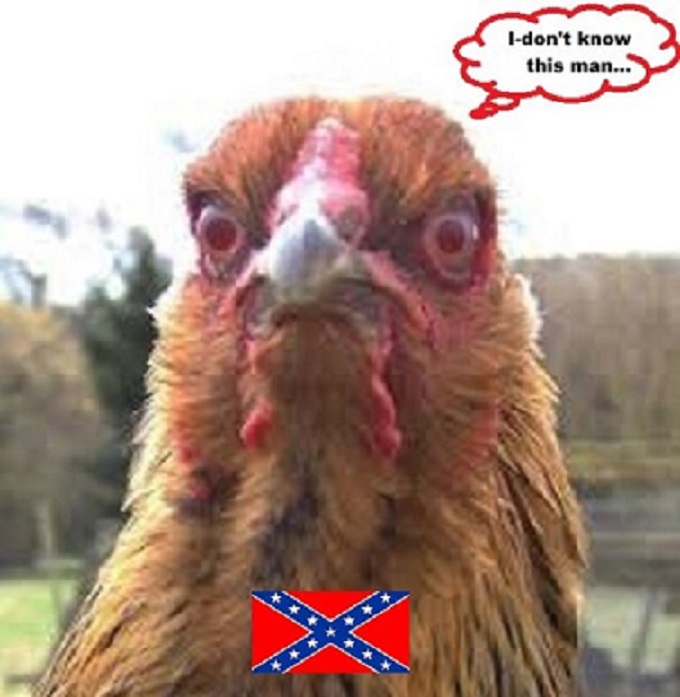 Rebel Chicken CROPPED