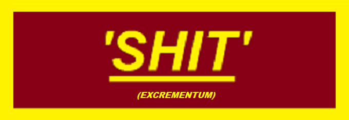 SHIT