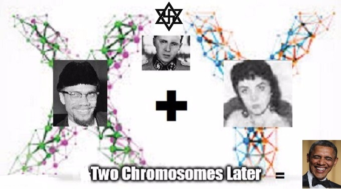 The Obama Malcolm Z Mengele graphic