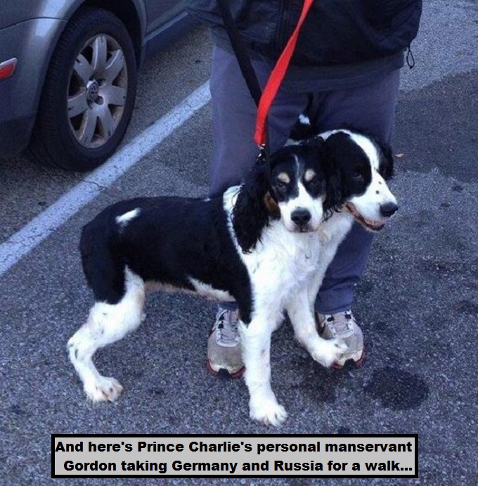 Two headed dog Gordon Charles Germany Russia