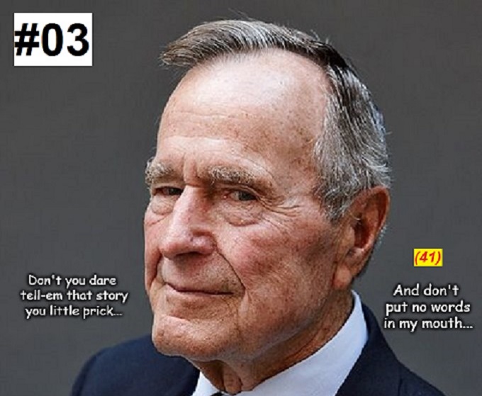 Bush ~ Story #03-41 CROPPED