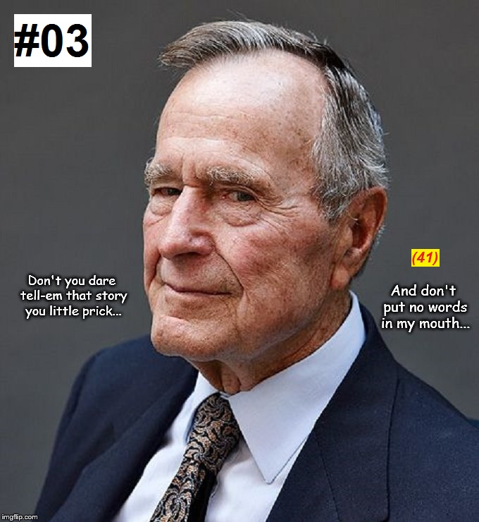 Bush ~ Story #03-41