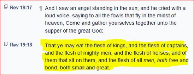 Reptillian Rev 19 17 18