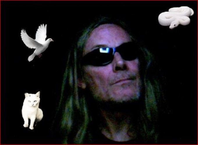 robby snake dove cat