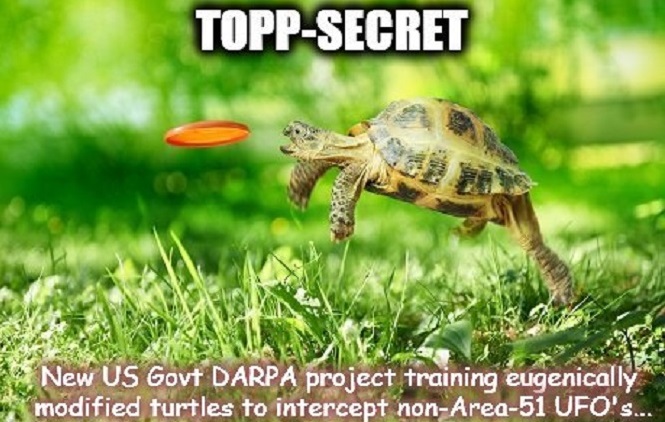 UFO'S ~ DARPA ~ Turtles ~