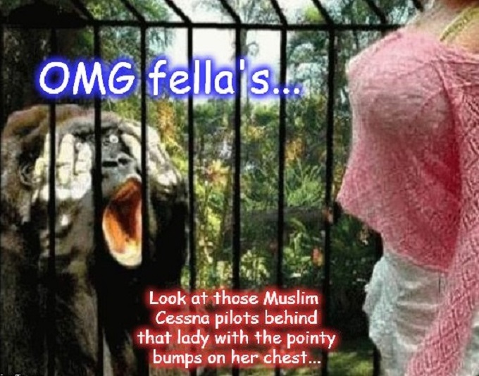 Apeshit ~ OMG fellas ~ Look at that lady ~