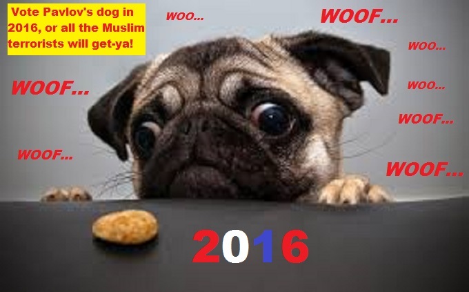 cross-eyed-pavlovs-pug-dog-muslim-terror-2016