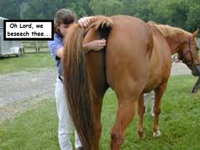 Horse's ass Oh Lord we beseech thee