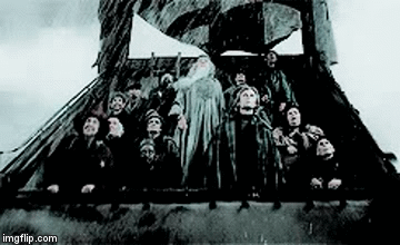 Potter Arresto Momentum wizard