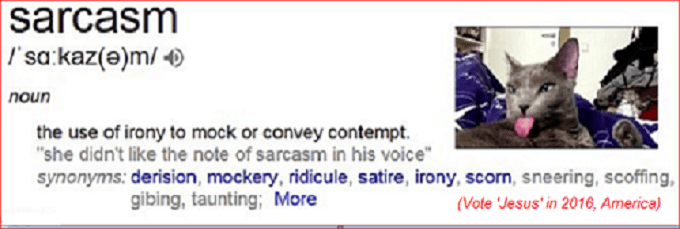 SARCASM CAT RULES VOTE JESUS 5000