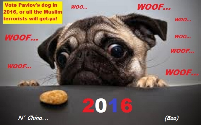 cross-eyed-pavlovs-pug-dog-muslim-terror-2016 China Boo