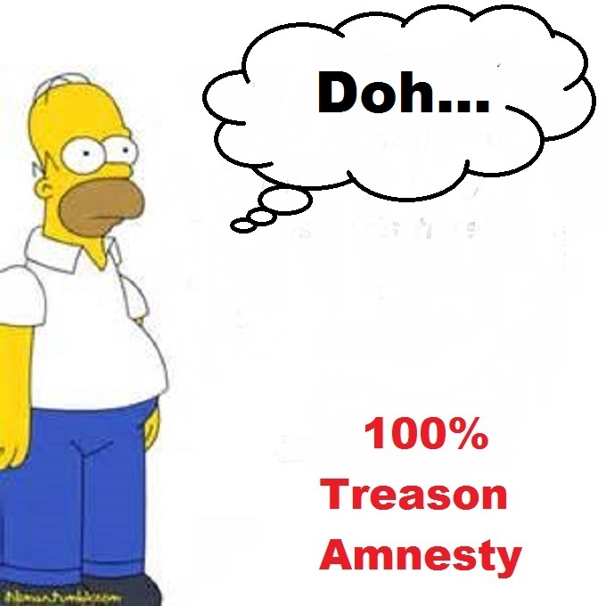 Homer Simpson 100 percent treason amnesty DOH
