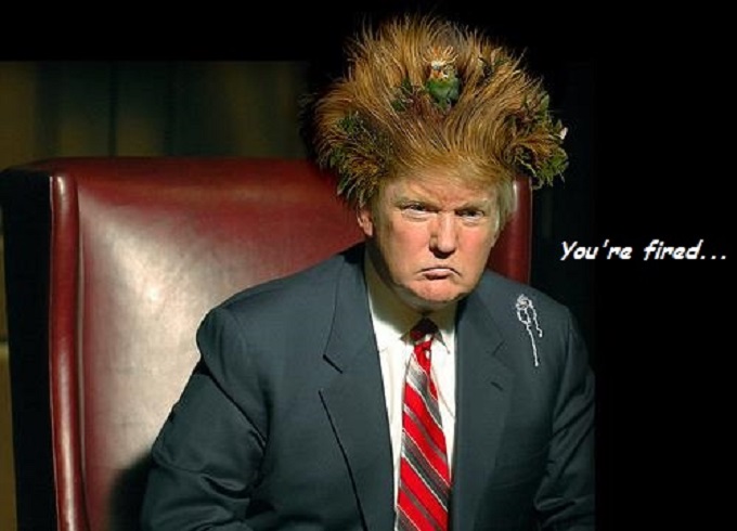 Trump ~ Bad hair day ~ You're fired 680