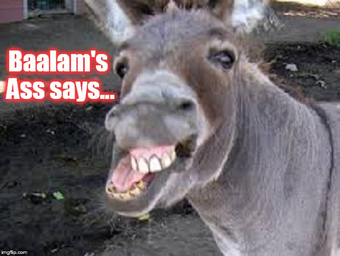 Baalam's Ass says