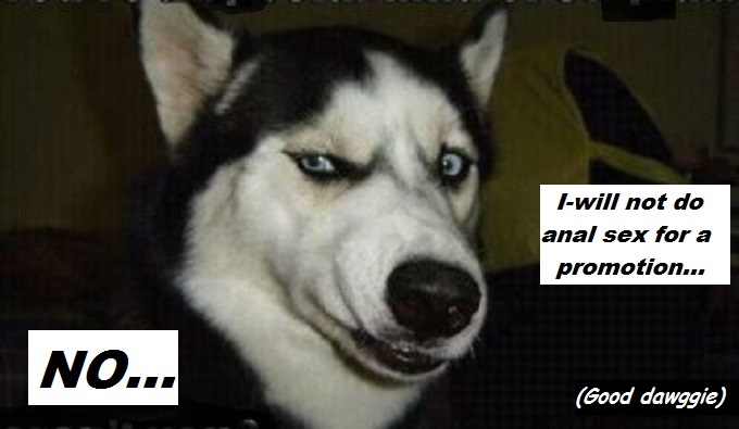 Dog looking NO ANAL SEX PROMOTION ~ Good dawggie