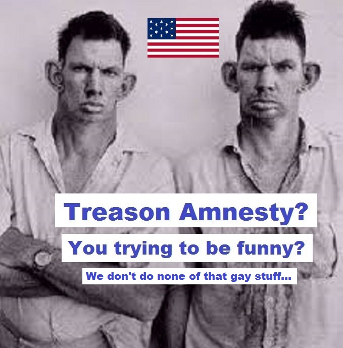 Inbred hillbilly treason amnesty trying to be funny AMERICAN FLAG GAY STUFF