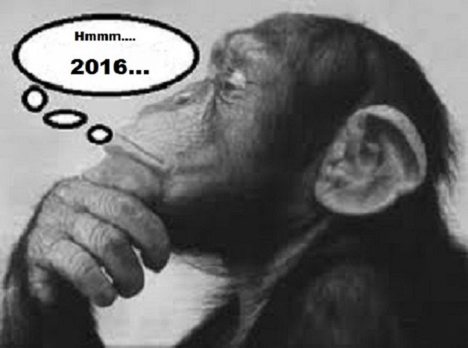 Monkey 2016