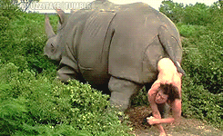 Rhino out of ass man