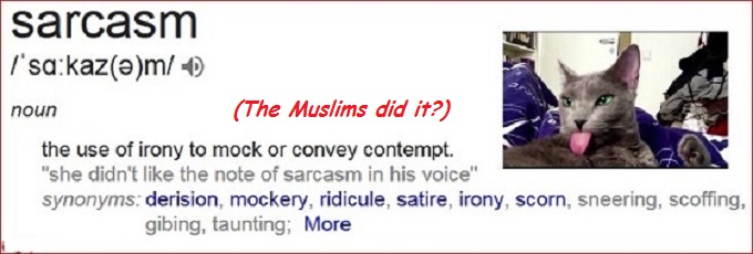 Sarcasm Cat the Muslims did it