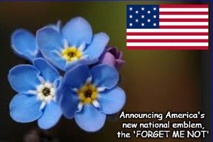 THE FORGET ME NOT FLAG