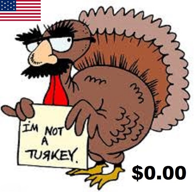 american-turkey-0-00