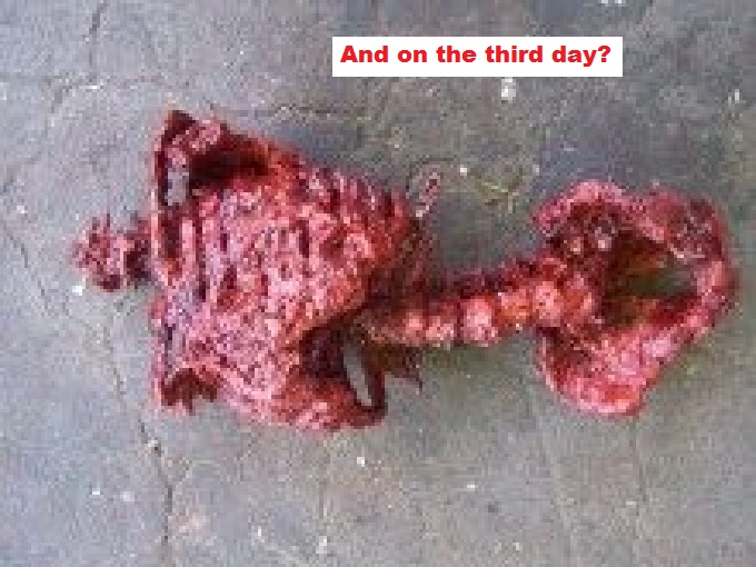 butchered-torso-and-on-the-third-day