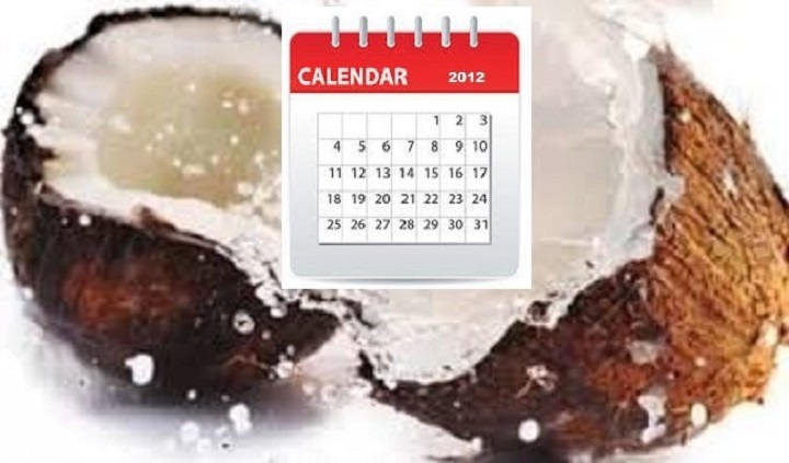 coconuts-calendar-2012-2