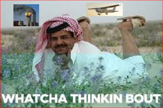 muslim-twin-towers-cessna