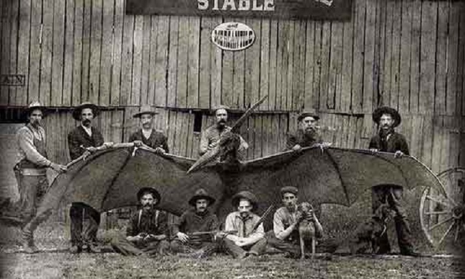 pteradactyl-hunters-two