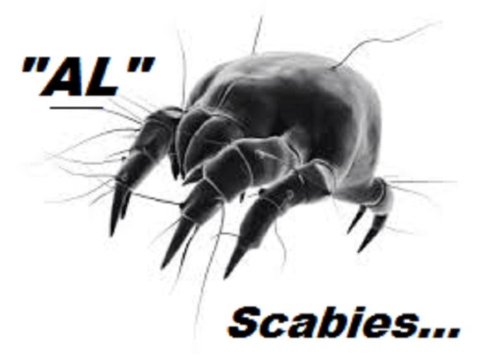 scabies-mite